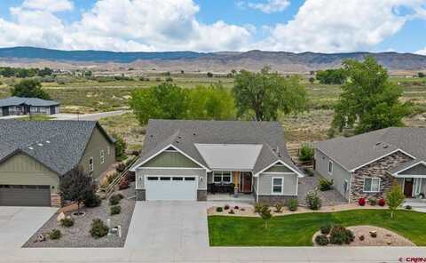 3709 Scarlet Court, Montrose, CO 81401