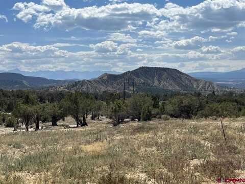 TBD Buckhorn Road, Montrose, CO 81403
