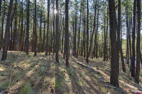 465 Deer Ridge Drive, Bayfield, CO 81122