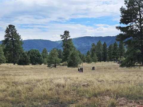 44 Shelter Place, Pagosa Springs, CO 81147
