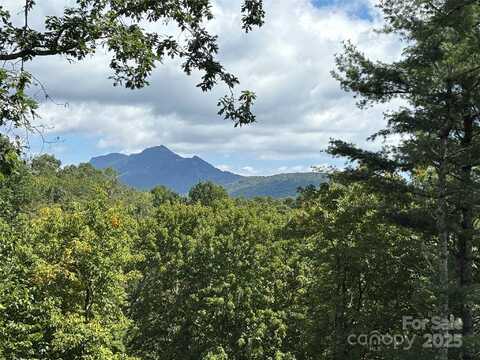 Linhigh Drive unit: 66, Newland, NC 28657