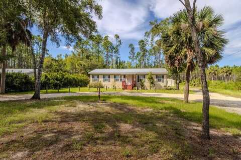1221 Sweetgum Cir, Steinhatchee, FL 32359