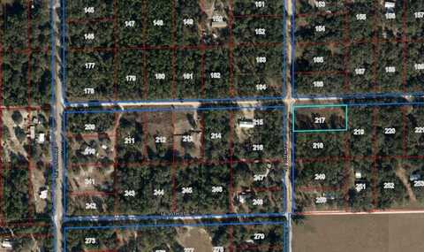 Lot 217 96th St, Archer, FL 32621