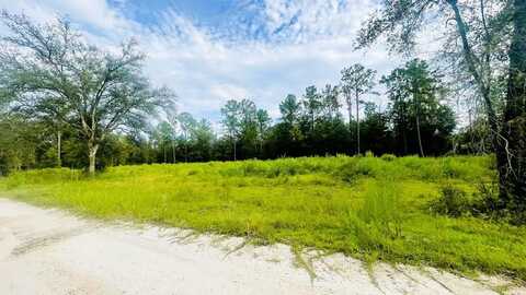 Lot 217 96th St, Archer, FL 32621
