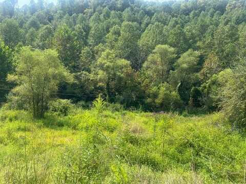 undefined, Prestonsburg, KY 41653