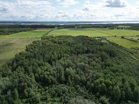 7538 S Riverside DR, Muir, MI 49783