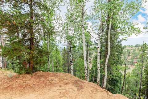 427 Wise Road, Bailey, CO 80421