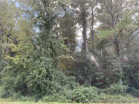 E Williams Street lot: 2, Autryville, NC 28318