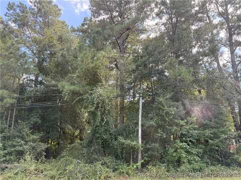 E Williams Street lot: 1, Autryville, NC 28318