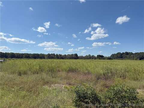 Collier Road lot: 4, Wade, NC 28395