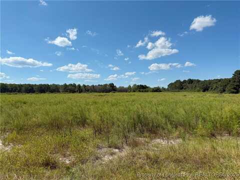 Collier Road lot: 3, Wade, NC 28395