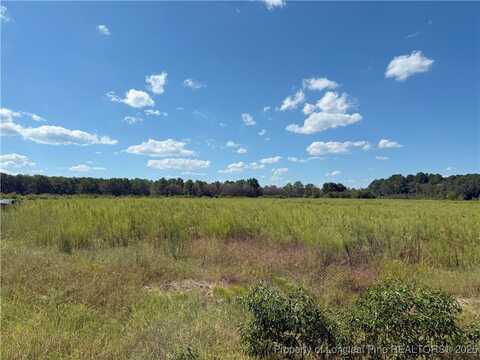 Collier Road lot: 2, Wade, NC 28395