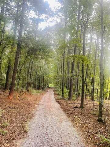 489 Childers Road, Colbert, GA 30628