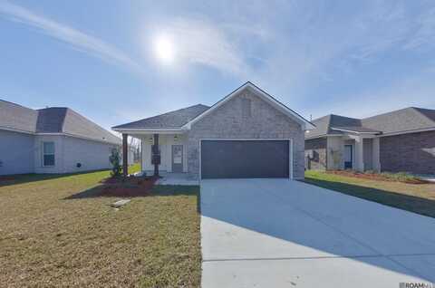 13968 Rosewell St, Denham Springs, LA 70726