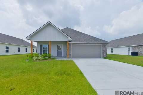 13742 Willowmore Dr, Denham Springs, LA 70726