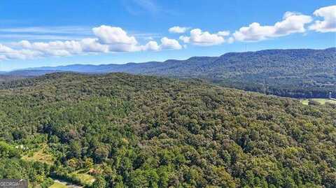 0 Maddox Lake, Summerville, GA 30747