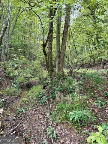 0 Yonah View, Cleveland, GA 30528