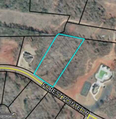 404 Forest Pointe, Forsyth, GA 31029