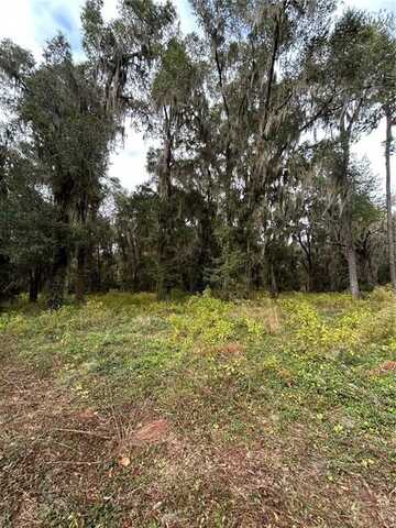 Lot 17 Plantation Drive, Darien, GA 31305