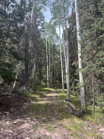 427 Juniper Drive, Cimarron, CO 81220