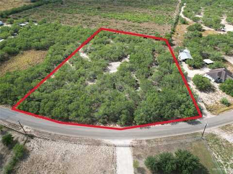 1868 Los Cenizos Road, Sullivan City, TX 78595
