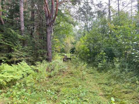 40 Ac On MARGARET LAKE RD, Three Lakes, WI 54562