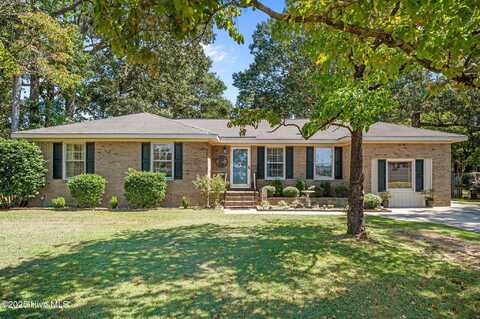 91 Rebel Road, Snow Hill, NC 28580