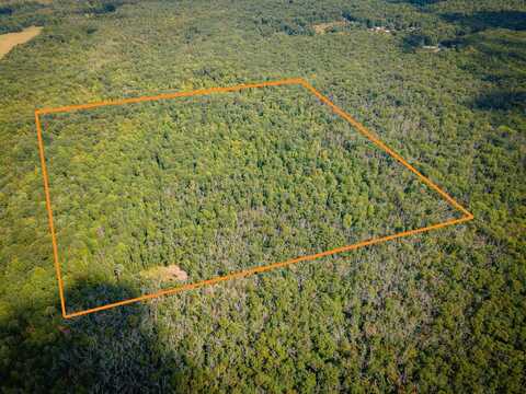 V/L Cleveland Road, Hesperia, MI 49421