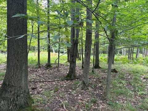 Flarity Road, Brethren, MI 49619