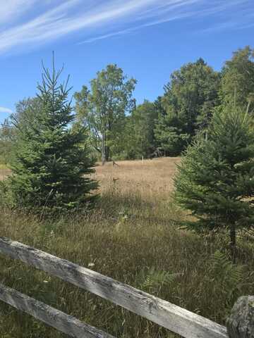 11750 17 Mile Road, Leroy, MI 49655