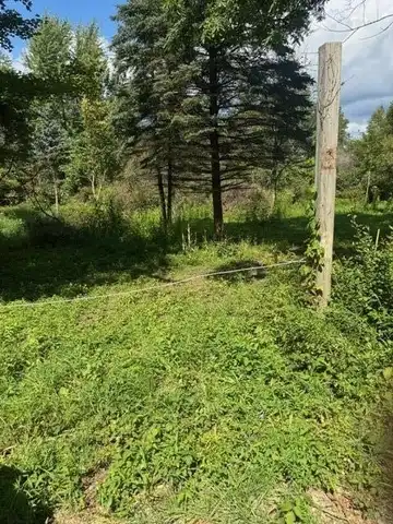 Parcel B Maple Grove, Hastings, MI 49058