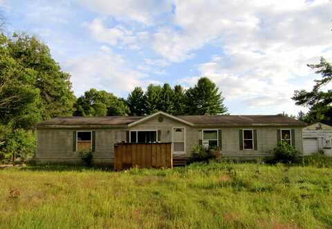 4645 S Pine Avenue, Newaygo, MI 49337
