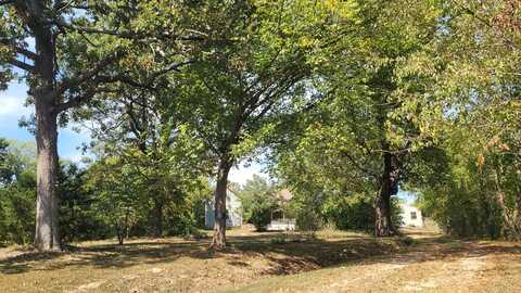 118 Indian Creek Loop, Buffalo, MO 65622