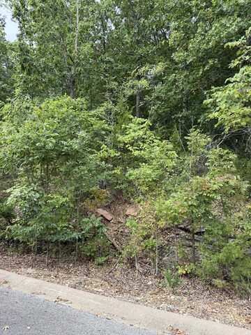 Tbd Skylee Drive, Hollister, MO 65672
