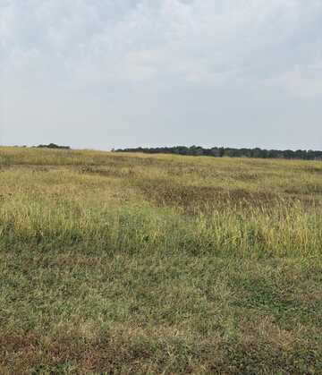 000 N Farm Road 177, Springfield, MO 65803