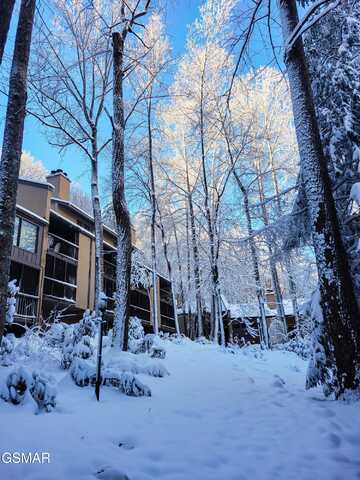 1235 Ski Mountain Road unit: 610, Gatlinburg, TN 37738