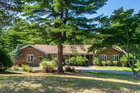 29 Pierson Hill Rd, Randolph, NJ 07869