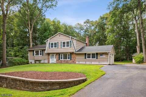 6 Cornell Dr, Roxbury Township, NJ 07876