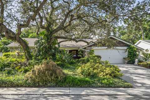 8510 Hunting Saddle Drive, Hudson, FL 34667