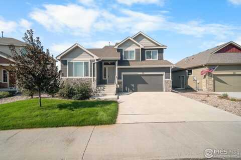 374 Littlebrook Ct, Windsor, CO 80550