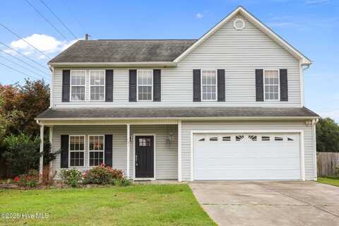 101 Loyd Lane, Beulaville, NC 28518