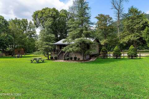 339 Stables Drive, Townsend, TN 37882