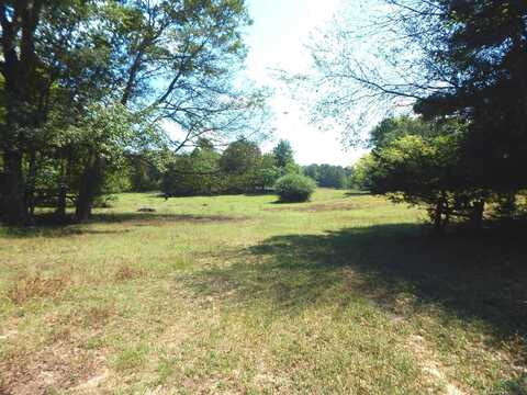 Tbd 45 HWY 155, Gilmer, TX 75644