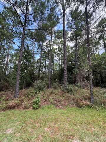 PID #33138 Amblewood Drive, Brookeland, TX 75931