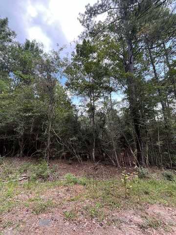 PID #33939 Tupelo, Brookeland, TX 75931