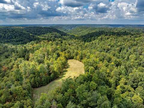 1335 Greenbrier Road, Wallingford, KY 41093