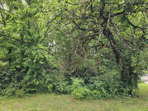 538 Lincoln Street, Lawrenceburg, KY 40342