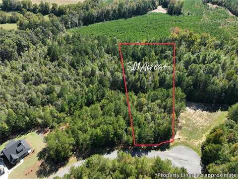 5225 MARY OLIVE ROAD, OPELIKA, AL 36801