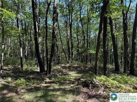 14 Berry Run Drive, Penn Forest Twp, PA 18229