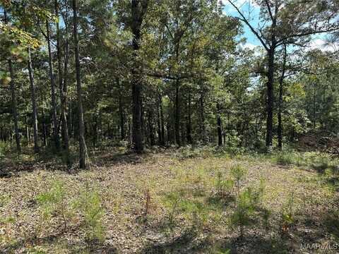 Ethan Lane lot: 13, Prattville, AL 36067